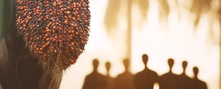 Ede koɖo Aja jukɔn